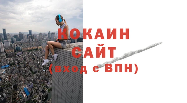 Альфа ПВП Аркадак