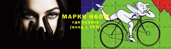 Альфа ПВП Аркадак