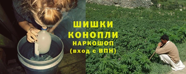 Альфа ПВП Аркадак
