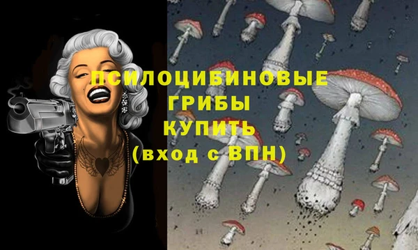 Альфа ПВП Аркадак